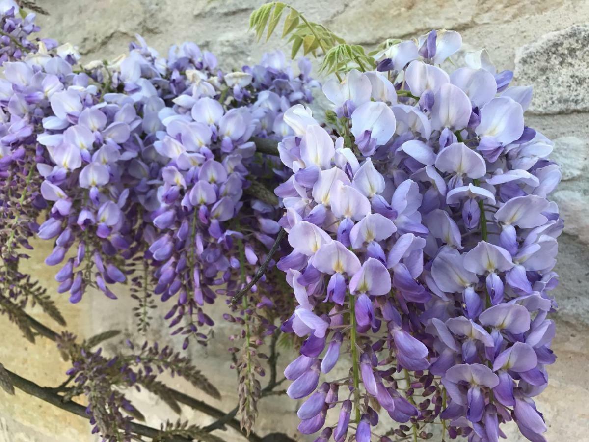 Bréville Poppy'S Paradise المظهر الخارجي الصورة